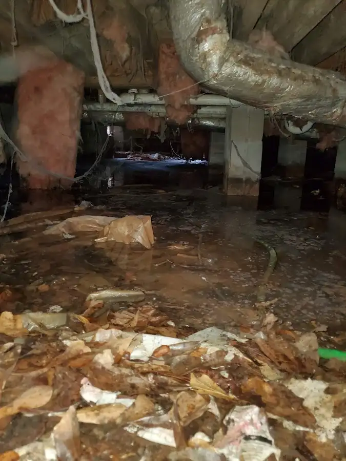Crawl space flood assessment for Leak Detection & Repair in Rincon
